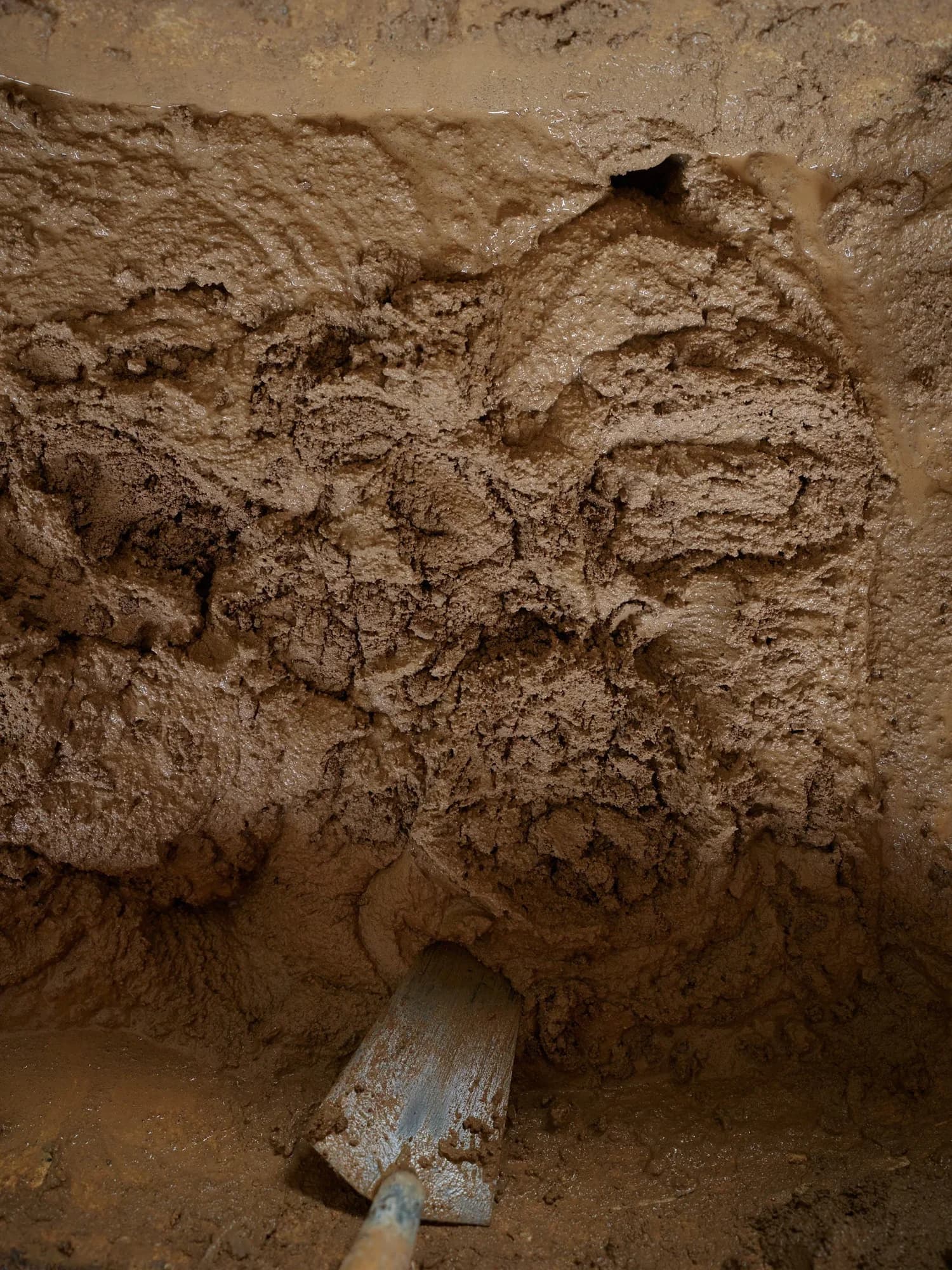 Close-up of hand-applied clay plaster finish by Unearthed